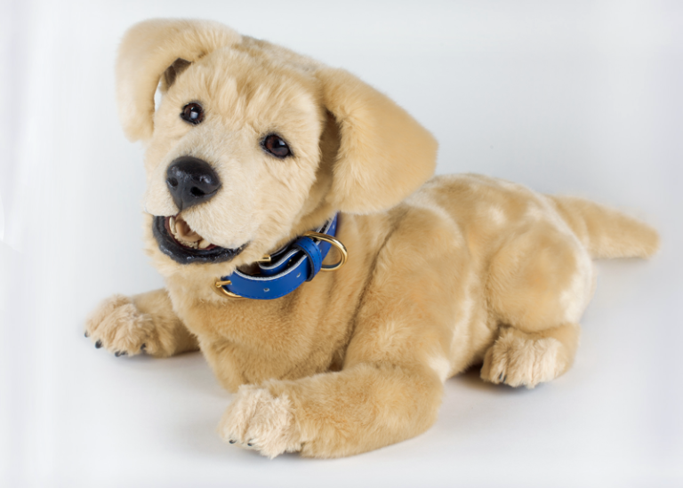 Top Dog A Robot Dog For Seniors Late Night Health Radio
