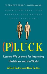 (p)luck book cover