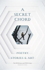A-SECRET-CHORD book cover