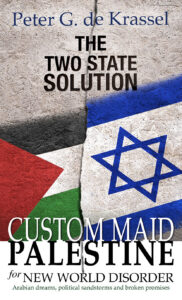 The Two State Solution book cover
